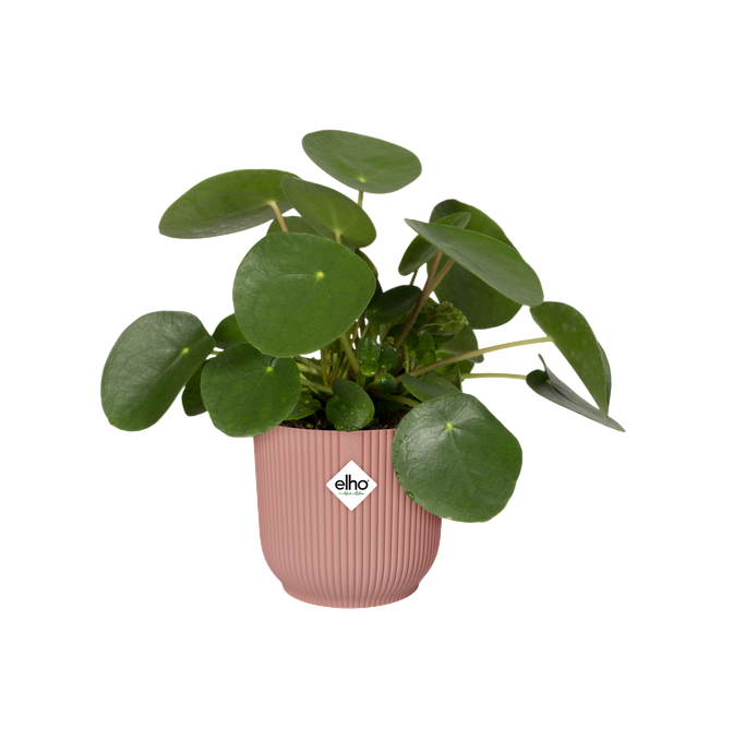 Bloempot Vibes Fold Round Delicate Pink Elho 22 cm