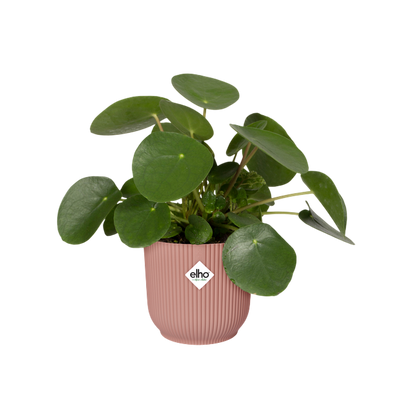 Vaso da fiori vibes fold round delicate pink Elho 25 cm