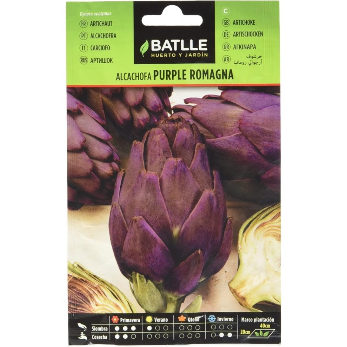 Purple Romagna Batlle artichoke seeds