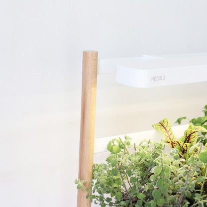 Moduł do uprawy roślin w pomieszczeniach Prêt à Pousser