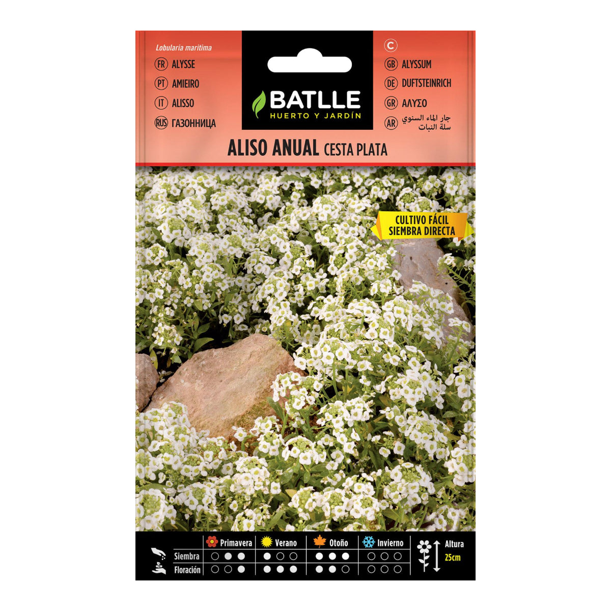 Årliga alssfrön silverkorg Batlle