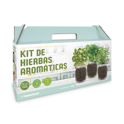 Kit de culture d'intérieur d'herbes aromatiques : origan, coriandre et menthe