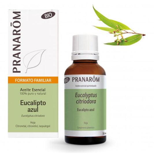 Etherische olie Blauwe Eucalyptusblad Bio Pranarom 30 ml