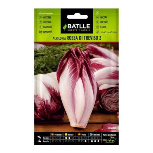 Cikoriafrön Rossa di Treviso Batlle