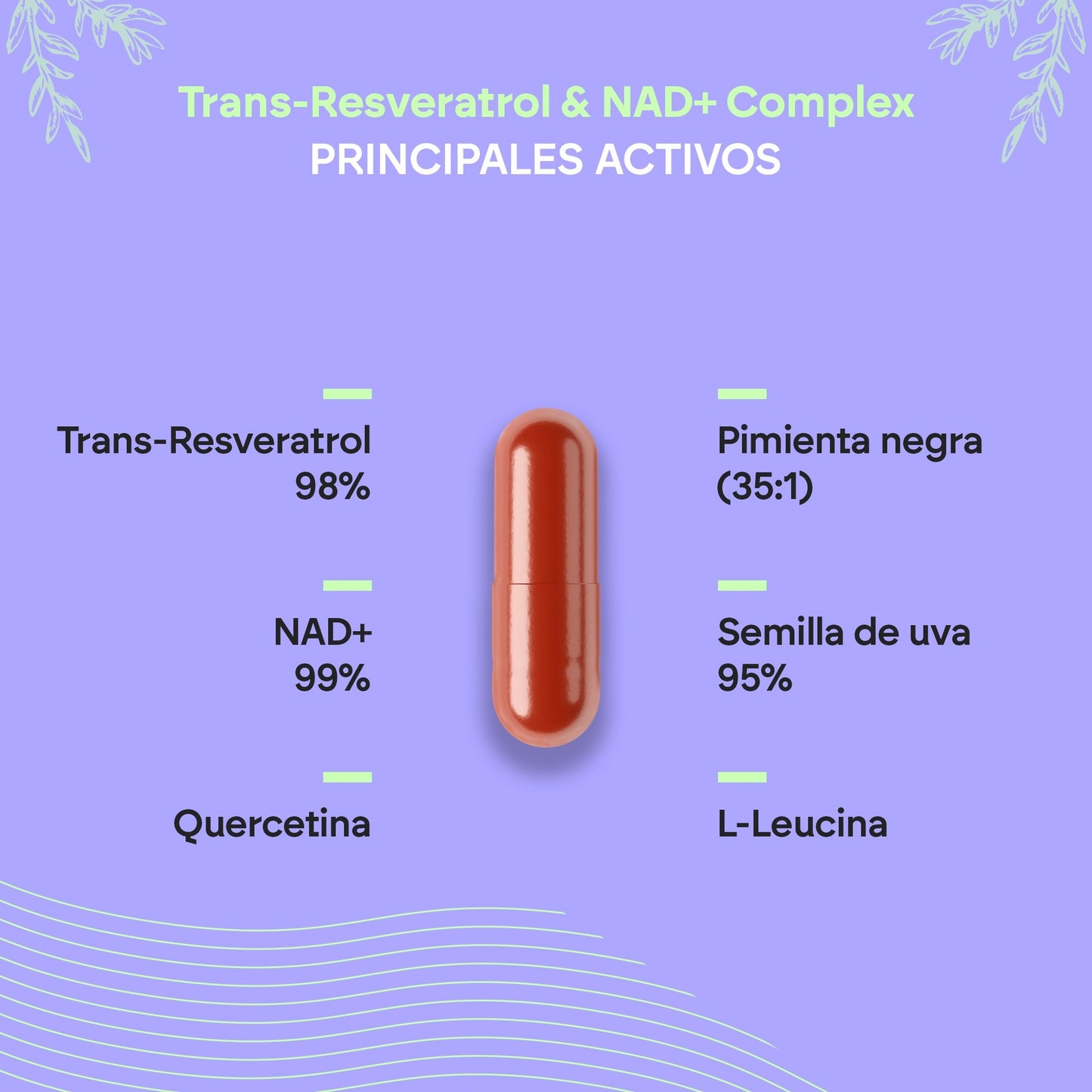 Nutralie Trans Resweratrol i NAD+ Complex 686 mg 60 kapsułek
