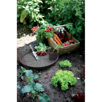 Bloempot Green Basics Elho Antraciet 22 cm