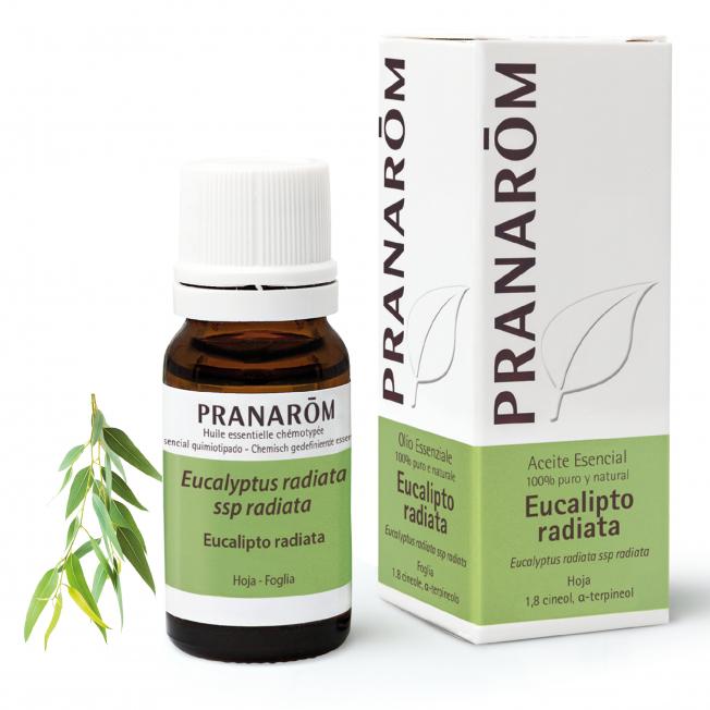 Etherische olie Eucalyptus radiata Pranarôm 10 ml
