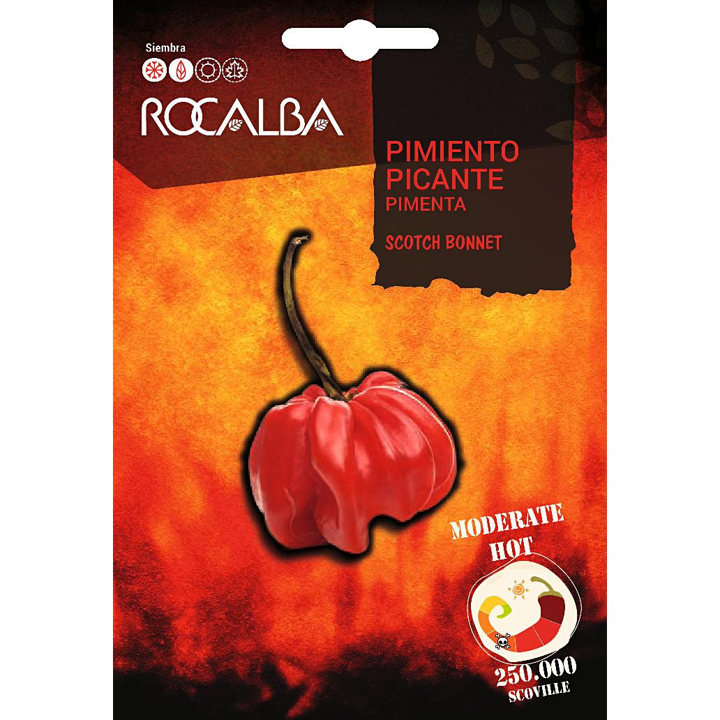 Frön av stark chili Scotch Bonnet Rocalba