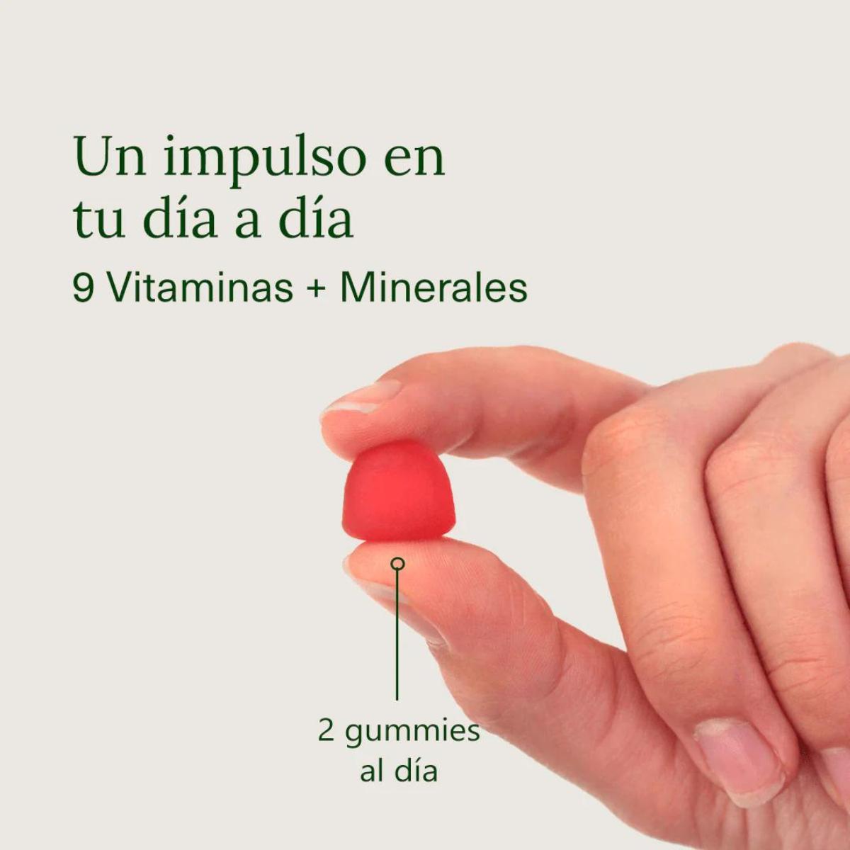 Multivitamines en gommes à la saveur de mûre Aldous Bio 120 gommes