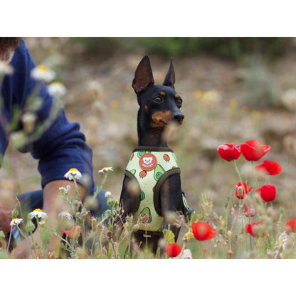 Harnais réversible pour chien AVOCADO Dukier XL