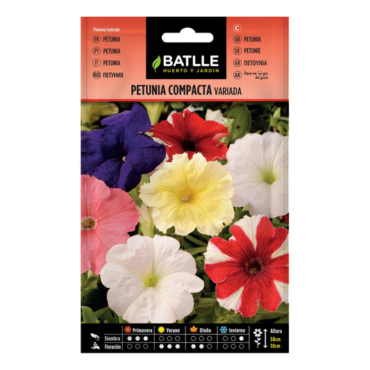 Batlle Assorted Compact Petunia Seeds