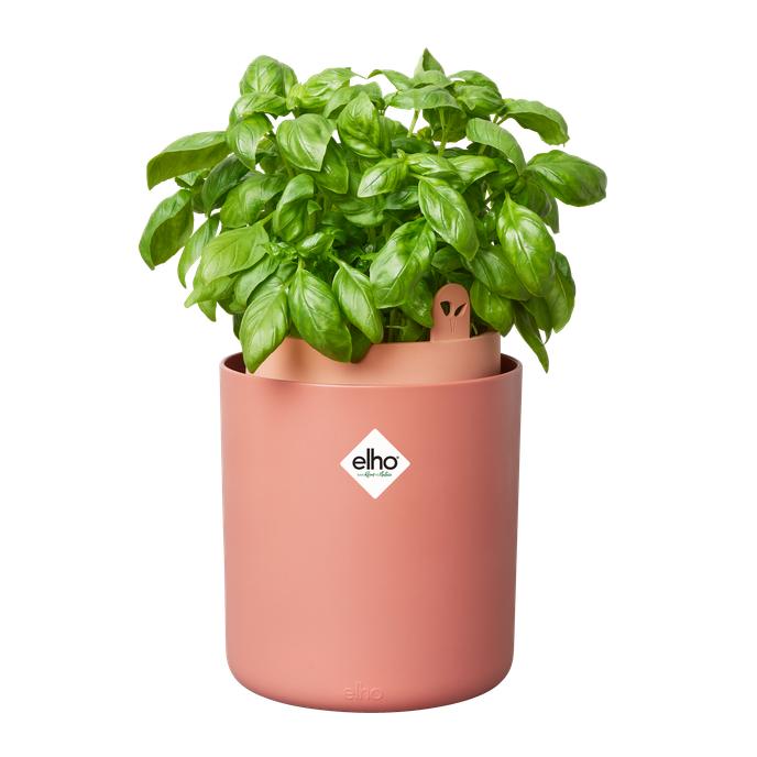 Självvattnande kruka för örter Bouncy Basil Elho Terra