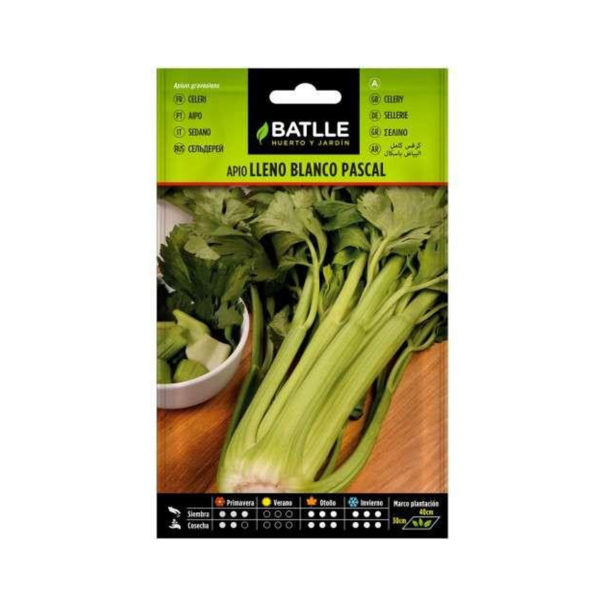 Samen von weißem Sellerie Pascal Batlle