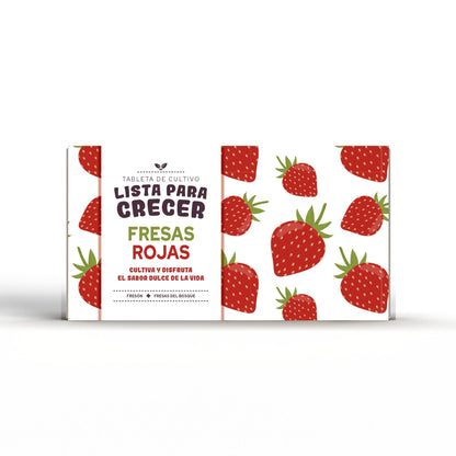 Tabletka do uprawy czerwonych truskawek Idealny prezent, Garden Pocket