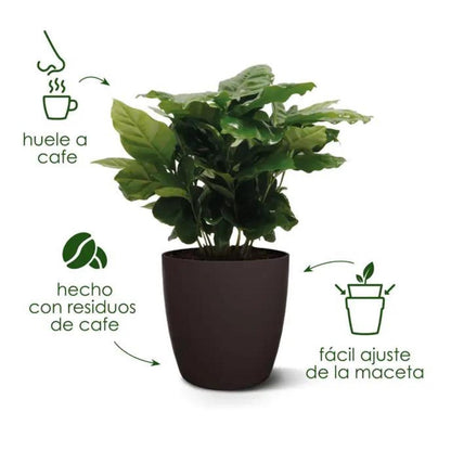 Fioriera riciclata Coffee Collection Round Elho 18 cm