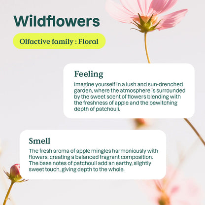 Wildflower Weichspüler, 40 Dosen, Attitude 1 l