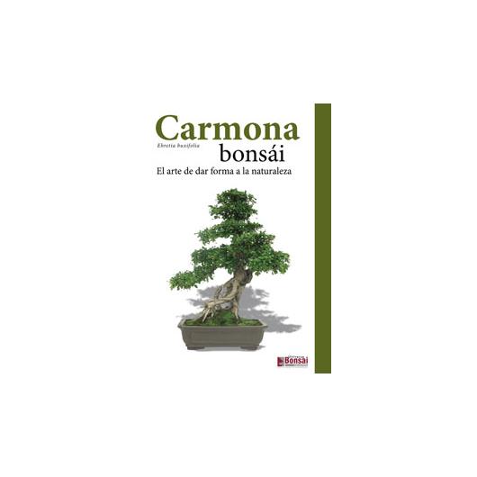 Carmona bonsai guide