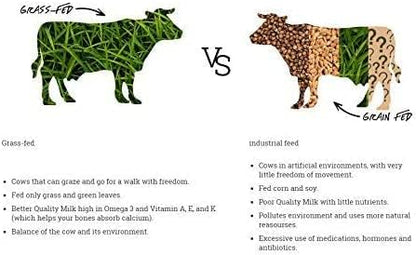 Natruly Whey Proteïne Bio Chocolade 350 g 350 g