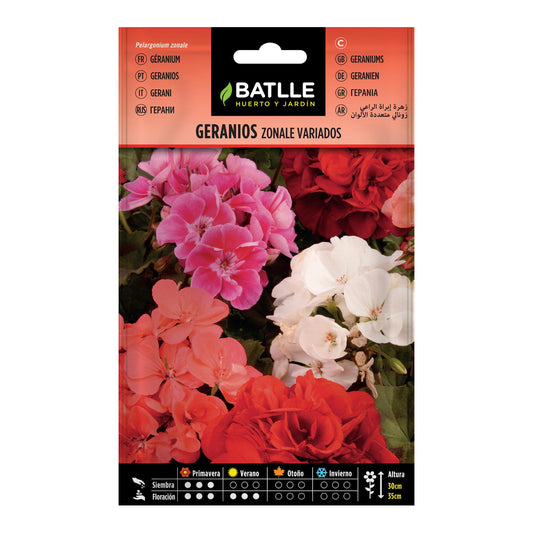 Assorted Zonale Geranium Seeds Batlle
