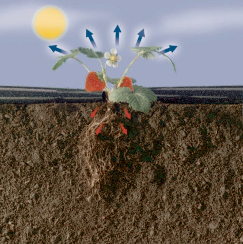 Fresafilm Nortene Polsterfolie 1,4 x 10 m