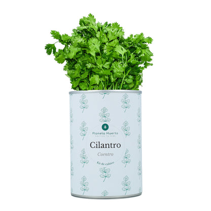 Pack Kits de cultivo aromáticas Planeta Huerto