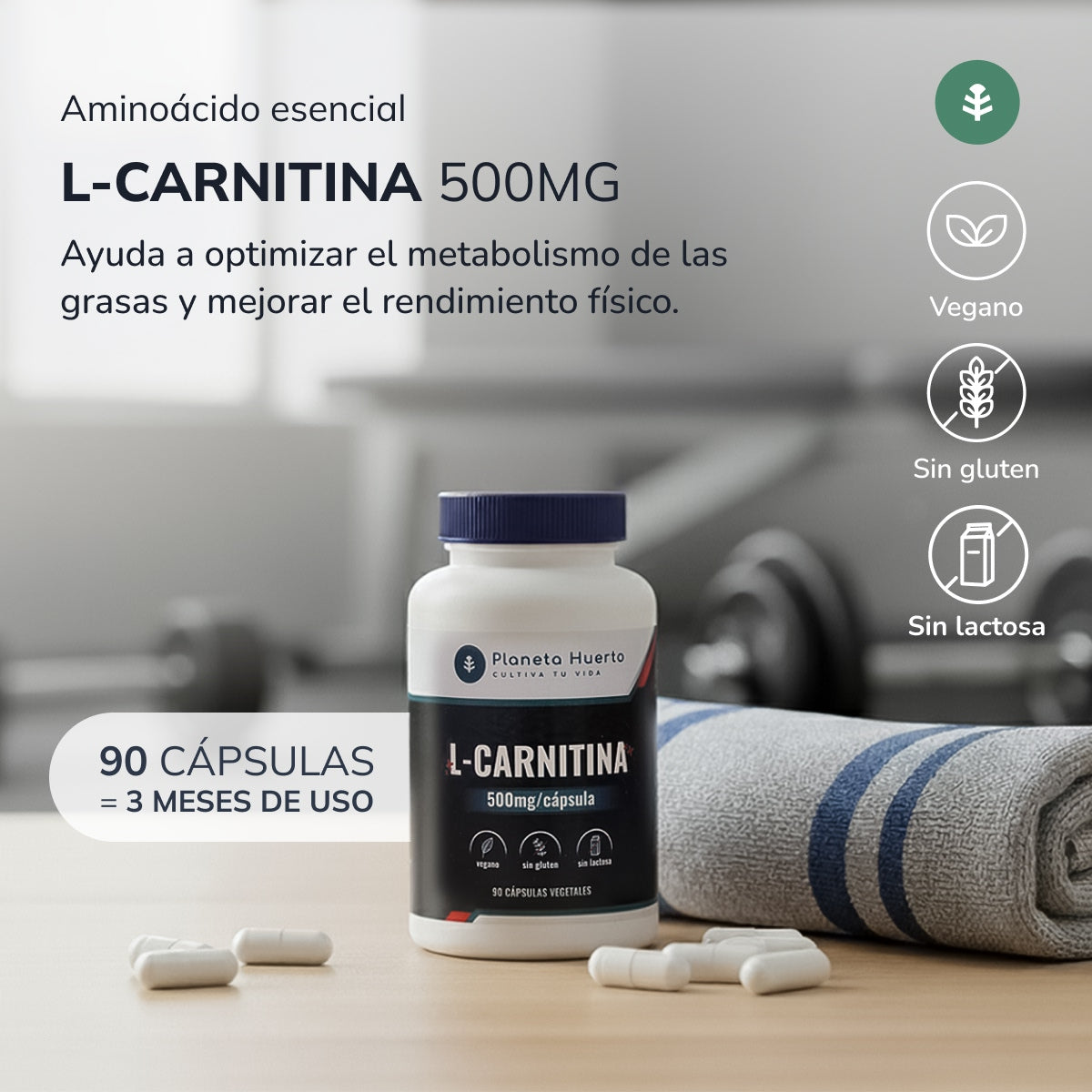 L-Carnitin 500 mg Planeta Huerto 90 Kapseln.