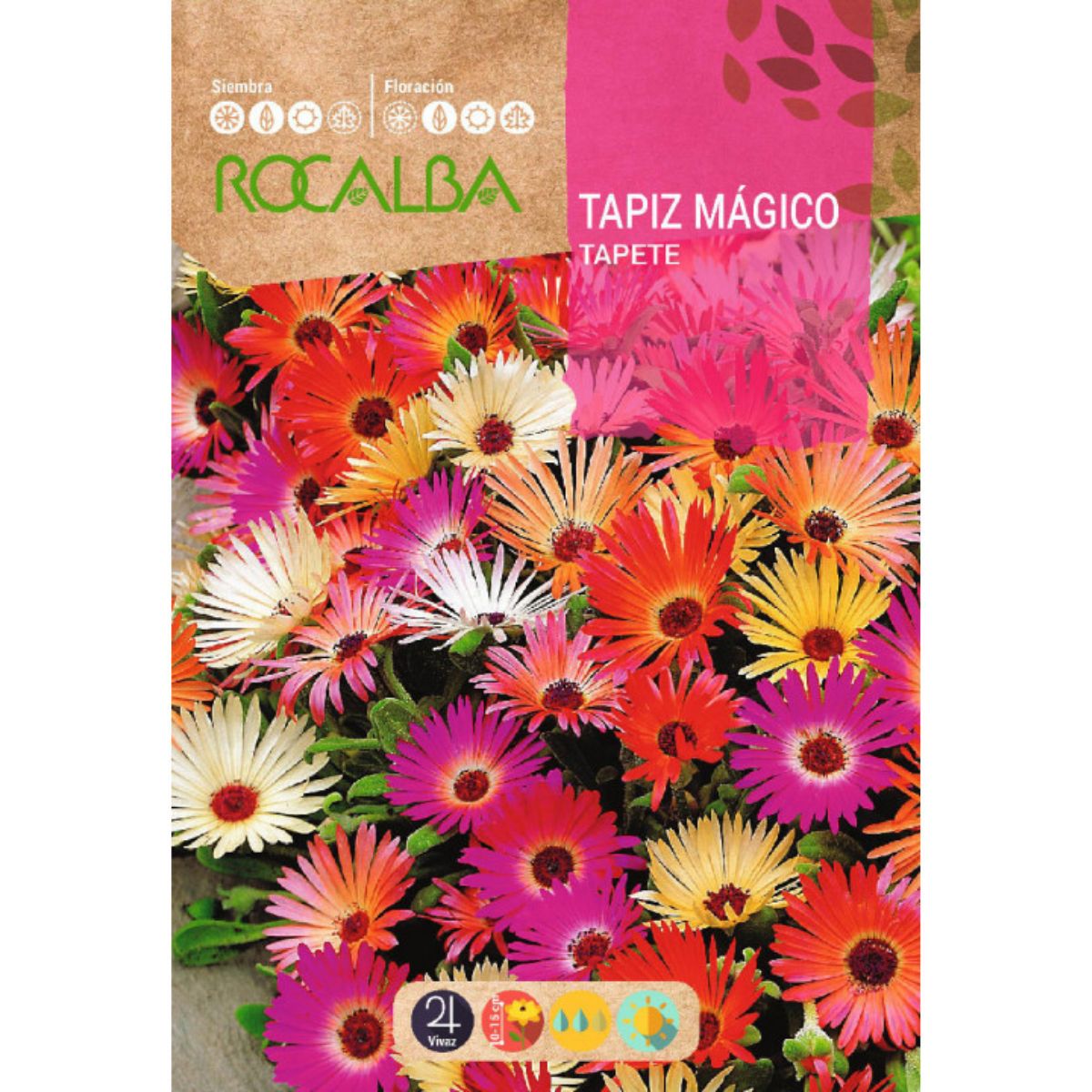 Semillas de Tapiz mágico Ficoide criniflorum