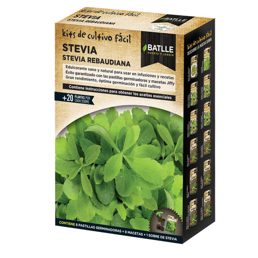 Stevia Rebaudiana Batlle Growing Kit