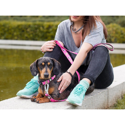 Hundehalsband DOGTELLA Dukier M