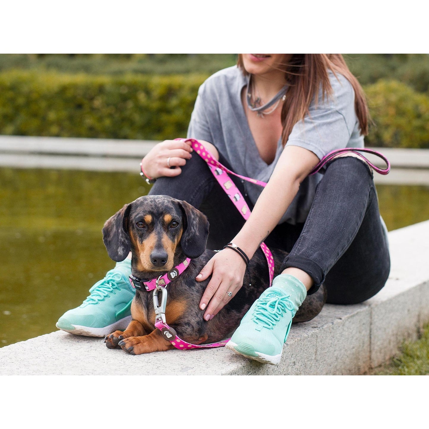 Hundehalsband DOGTELLA Dukier L