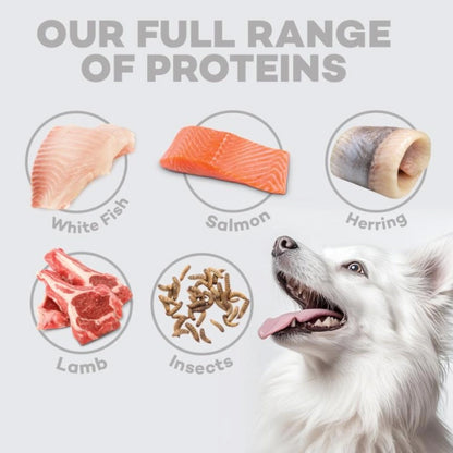 Nature's Protection White Dog Grain-free Adult Small Breed Lamb Feed 4 kg