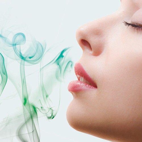 Kunstrasen-Duft Nortene 750 ml