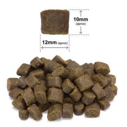 Fresh Ocean Fish Arquivet Mangime semiumido completo per cani 100 g