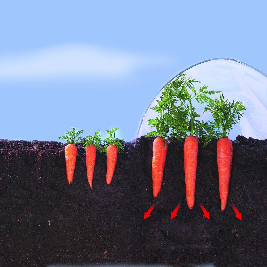 Folia do uprawy wczesnych warzyw Climafilm Nortene 2 x 10 m