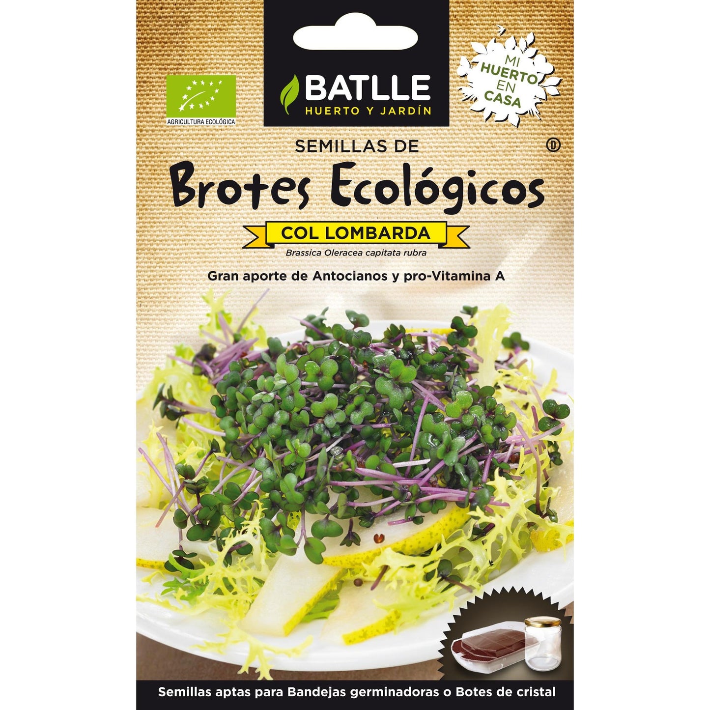 Organic red cabbage seeds for sprouts Batlle