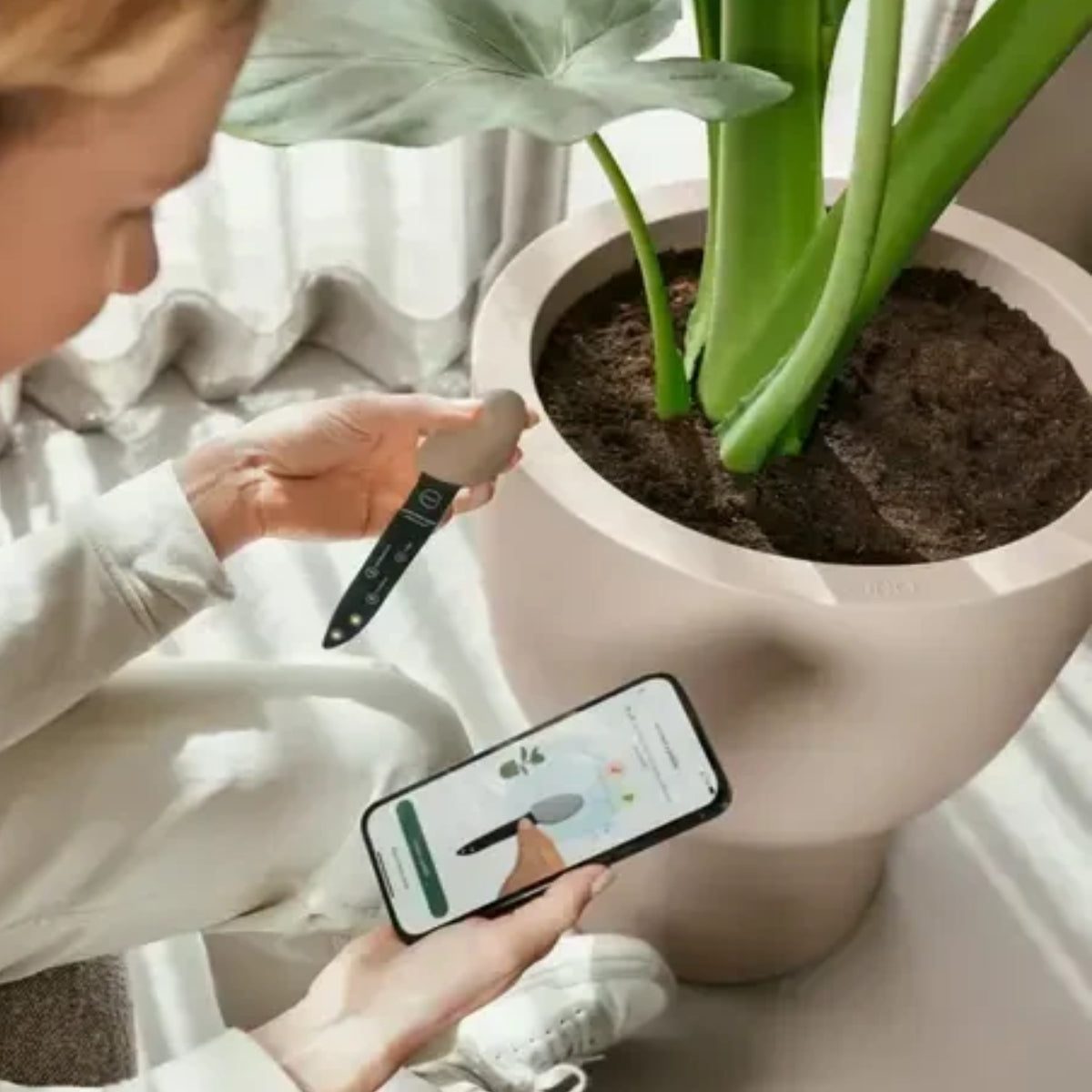 Digitaler Assistent für die Pflanzenpflege Elho Smart Pebble