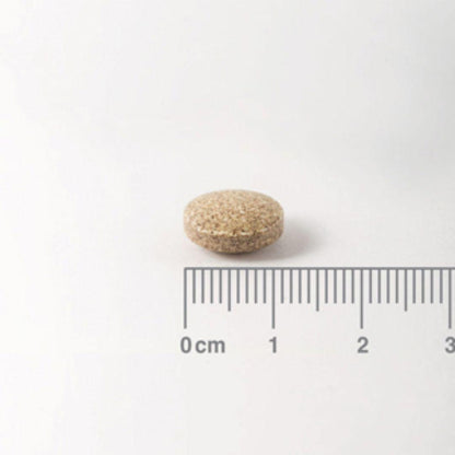 Ginkgo Biloba 6.000 mg, Lamberts 60 tabletten