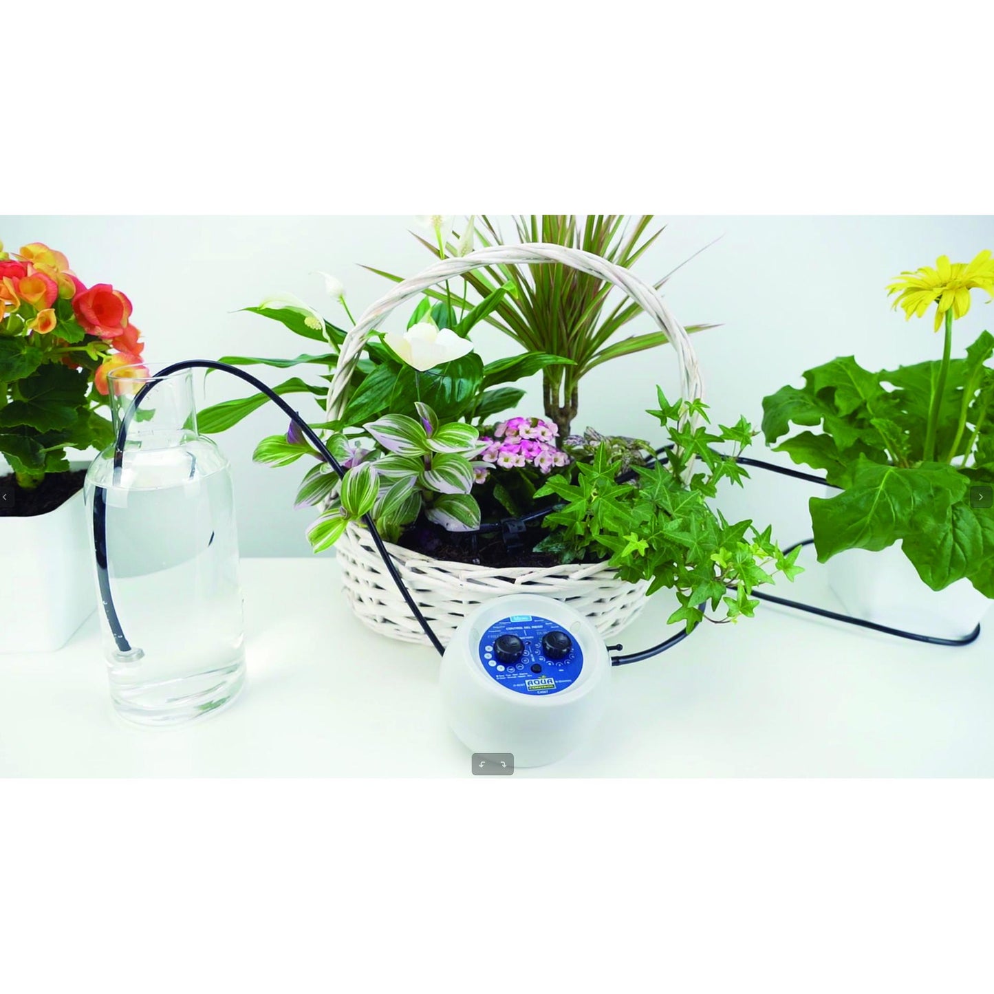 Kit di irrigazione per le vacanze con pompa programmabile Aqua Control