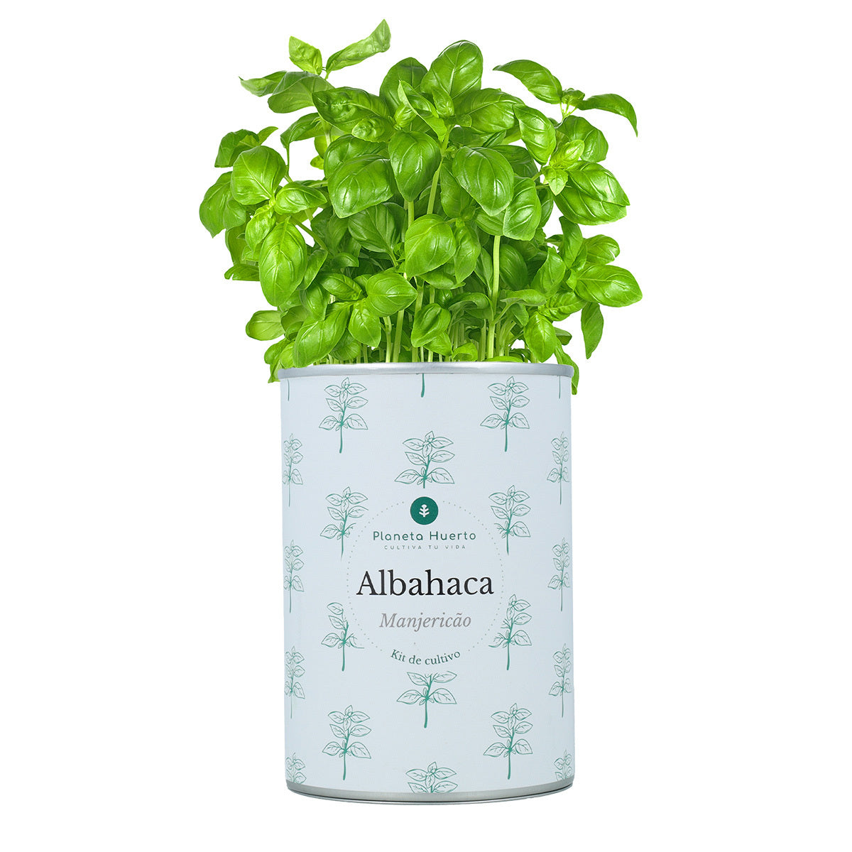 Aromatic cultivation Kits Chest Pack Planeta Huerto