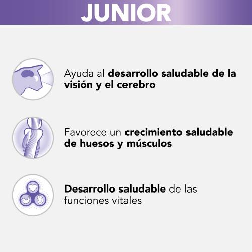 PRO PLAN Gatto Kitten Tacchino in Salsa 85 g