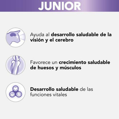 PRO PLAN Gatto Kitten Tacchino in Salsa 85 g