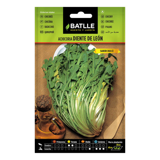 Cikoriafrön och maskrosfrön Batlle