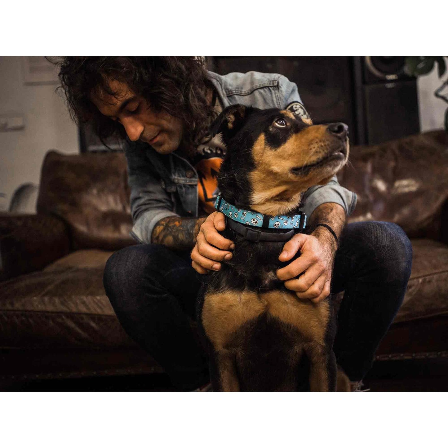 Hundehalsband SKULLS Dukier XS