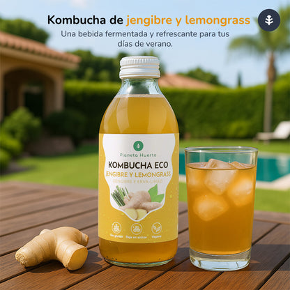 Kombucha ECO Gingembre et citronnelle Planeta Huerto 330 ml