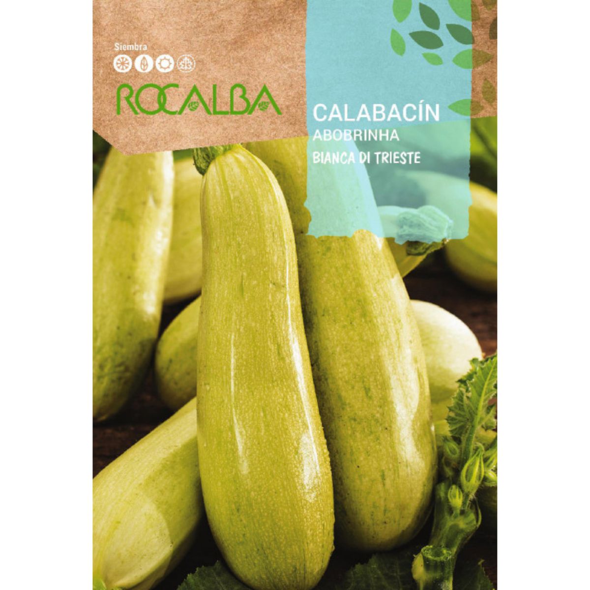 Zaden van courgette bianca di trieste