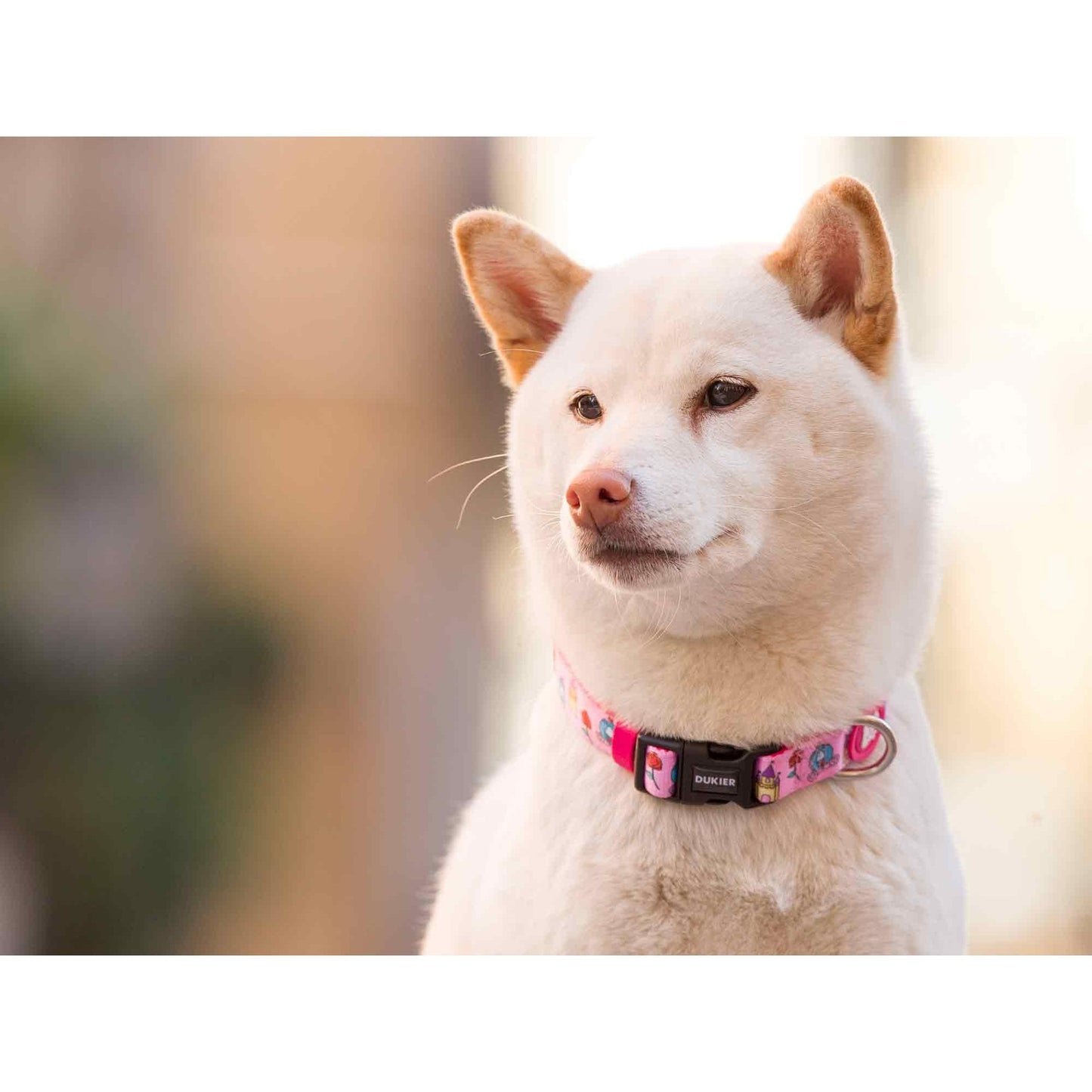 Collare per cani PRINCESS Dukier XS