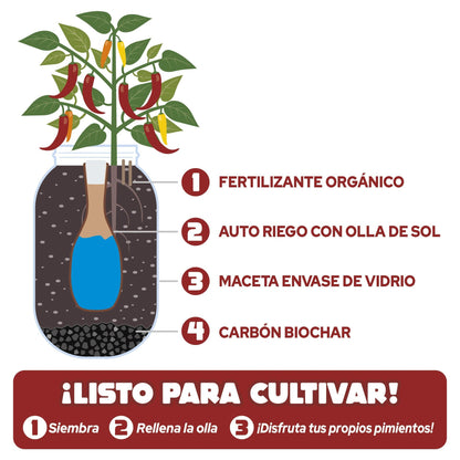 Kweekset voor binnen Snackpaprika's