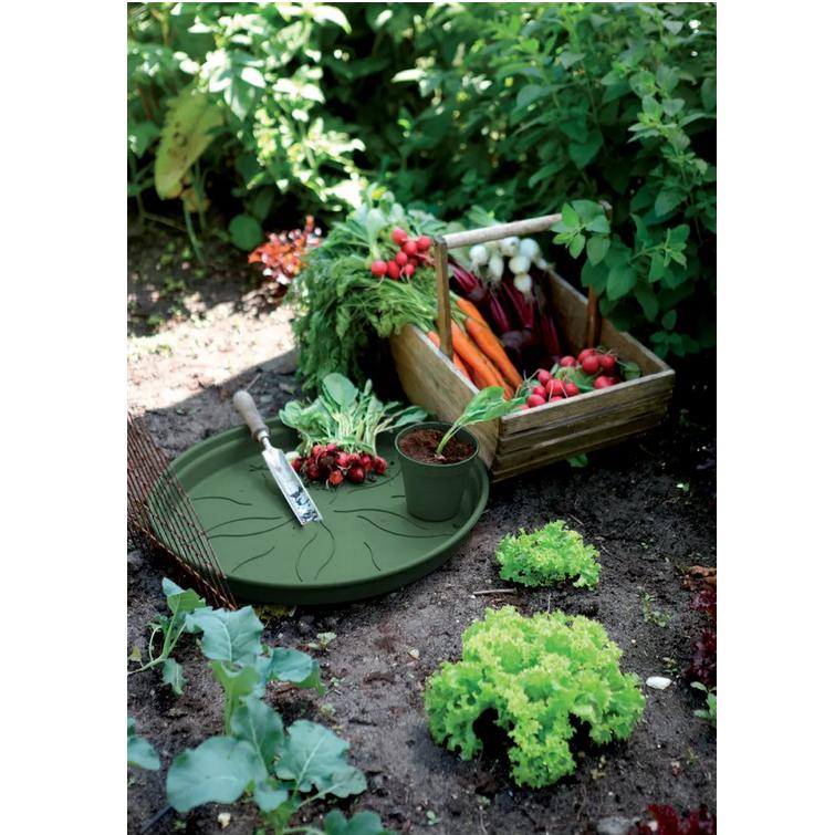 Assiette Green Basics Elho Verte 22 cm