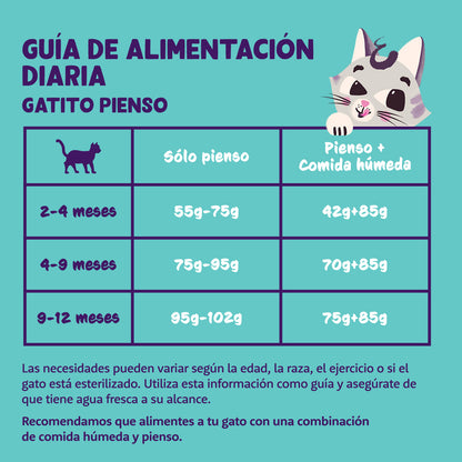 Katzenfutter Kitten Frische Ente und Huhn Edgard & Cooper 2 kg