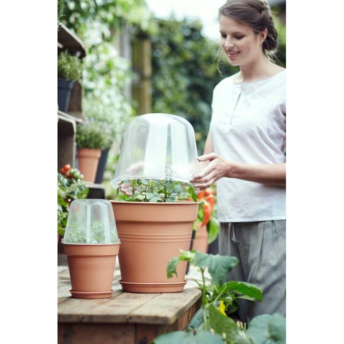 Gewächshausabdeckung für Blumentöpfe Green Basics Elho 30 cm